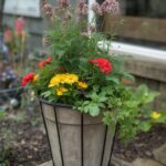 Container Gardening for Beginners